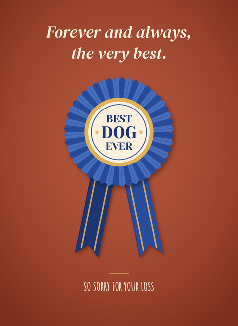 Best Dog Ever